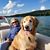 Kathleen Grudniewski Miller's profile image