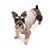Mary Beth Foss's profile image