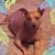 Chrissy McCormick's profile image