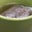 ǝǝן uɐıɹq's profile image