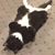 Mark Eymer's profile image
