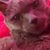 Mendy Godwin's profile image