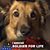 Mary Beth Haller Seiter's profile image