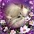 Cyndi Young Bunting's profile image