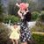 Kristie Silva's profile image