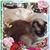 Wendy Criswell Walz's profile image