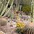 Natalie Mccammond's profile image