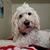 Staci Visser's profile image