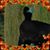 Sheila McCurdy's profile image