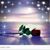 Jean Solheim's profile image