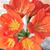 Cynthia Micyk's profile image