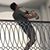 Brandon Kerley's profile image