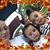 Amber Hiller's profile image
