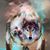 Terri Abbott's profile image