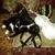 Joan Smith's profile image