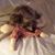 Angela Barnett's profile image
