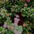 Mirian Machuca's profile image