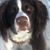 Angie Richard Dane's profile image
