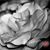 Nora Arias Loftis's profile image