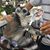 Erin Homburg's profile image