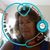 Robin Gepfrey's profile image