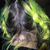 Adaline Lewis Tucker's profile image