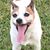 Dianna Bramblett Moore's profile image