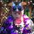 Rozalynne Weinberg's profile image