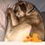 Michael Stehlik's profile image