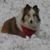 Cindy Counsil's profile image