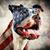 Daisy Doodlebug's profile image