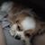 Shannon Raab's profile image