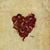 Dorothy Faye Orr's profile image