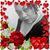Betty Pierre's profile image