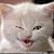 Rich Schiller's profile image