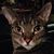 Mary Owens's profile image