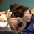 Brad Luth's profile image