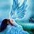 Sherrie Beth Swanson's profile image