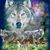 Janet Hayman's profile image