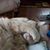Linda Bambarger's profile image