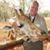 Gerald Klinkefus's profile image