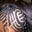 Nay Owens's profile image