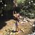Joanna Moreno-Votaw's profile image