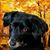 Sharon Stacy's profile image