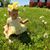 Staci Coffey Riggs's profile image