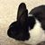 Matthew Waldeck's profile image