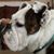 Preston Guthrie's profile image