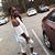 Nishaa Martin's profile image