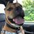 Tina Marie Watson-Tirabassi's profile image