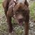 Susan McCoy Lawson's profile image